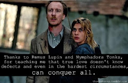 tonks lupin remus nymphadora harry potter john romance always story wattpad fanfiction draco ginny thanks teddy