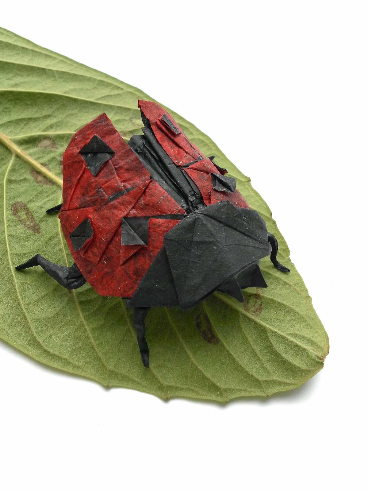 Mariano-Mi mundo el Origami: Ladybug