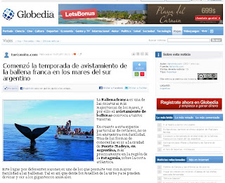 Avistaje de Ballenas en Península Valdés en Globedia 