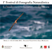 I° Festival Fotografia Naturalistica