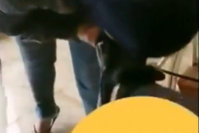 بالفيديو ضابط لبناني يجبر سيدة على تقبيل قدم زوجته على هامش خلاف نشب بينهما
