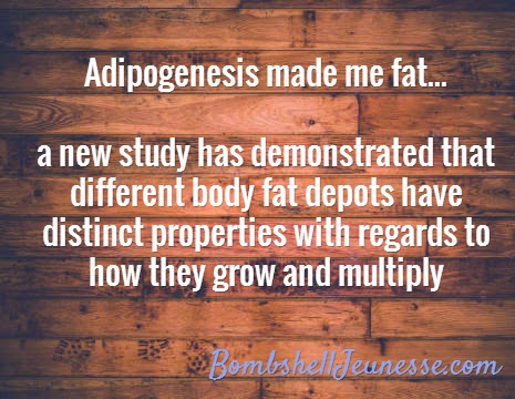 Your Fat Cells Are Multiplying When You Least Expect It I Adipogenesis made me fat I Paleo Vegeo I Barbara Christensen