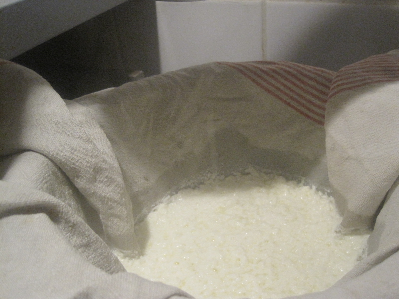 Mozzarella selbst gemacht – glatzkoch.de