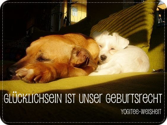 Https Link Springer Com Content Pdf 10 1007 2f978 3 662 59196 3 Pdf