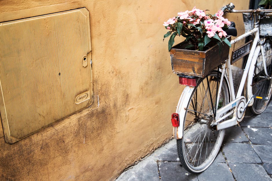 Pink Petaled Flower on White Commuter Bike Near Beige Painted Wall
