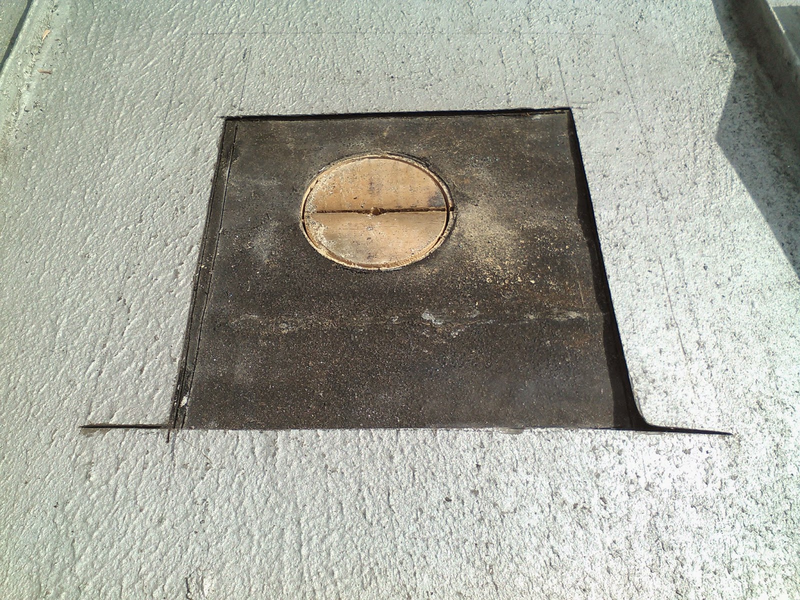 the common milkweed How To Drill A Hole In A Roof