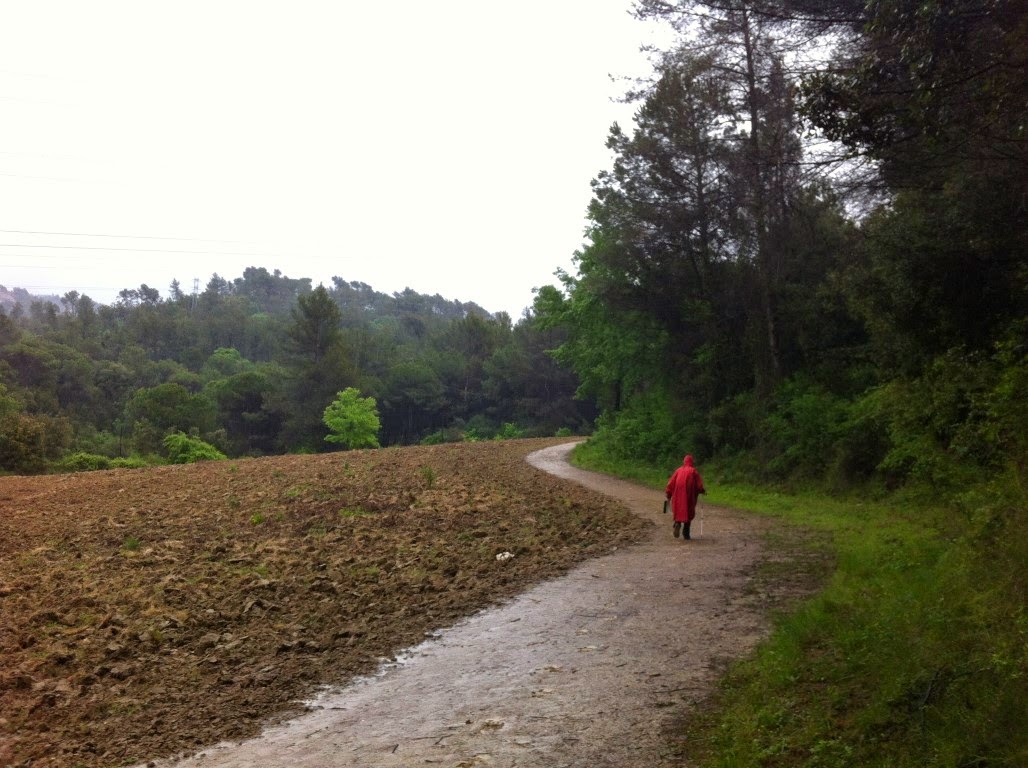 De Molins de Rei al Baixador de Vallvidrera per la Rierada