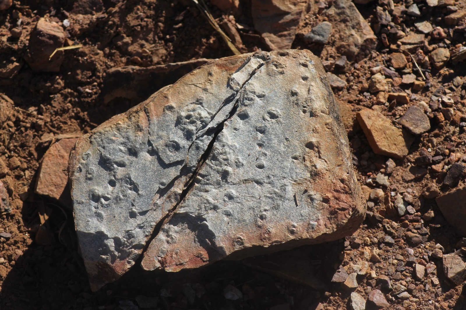 Cáceres al natural LOS SKOLITHOS DEL CERRO ARROPÉ