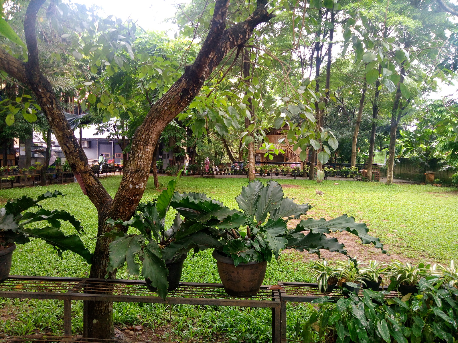 Sekolah Alam Bintaro Biaya Nusagates
