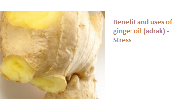 Benefit and uses of ginger oil (adrak) -  Stress: