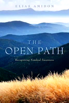  Book Review: The Open Path: Recognizing Nondual Awareness by Elias Amidon