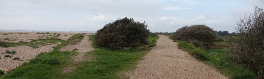 Narrow Gauge trackbed Monckton