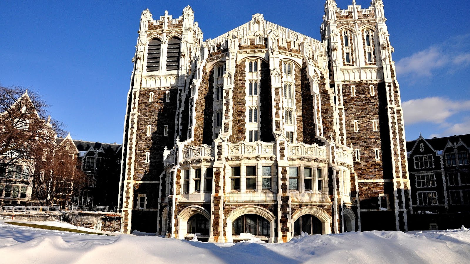 Northeast Ohio Medical University College College Choices