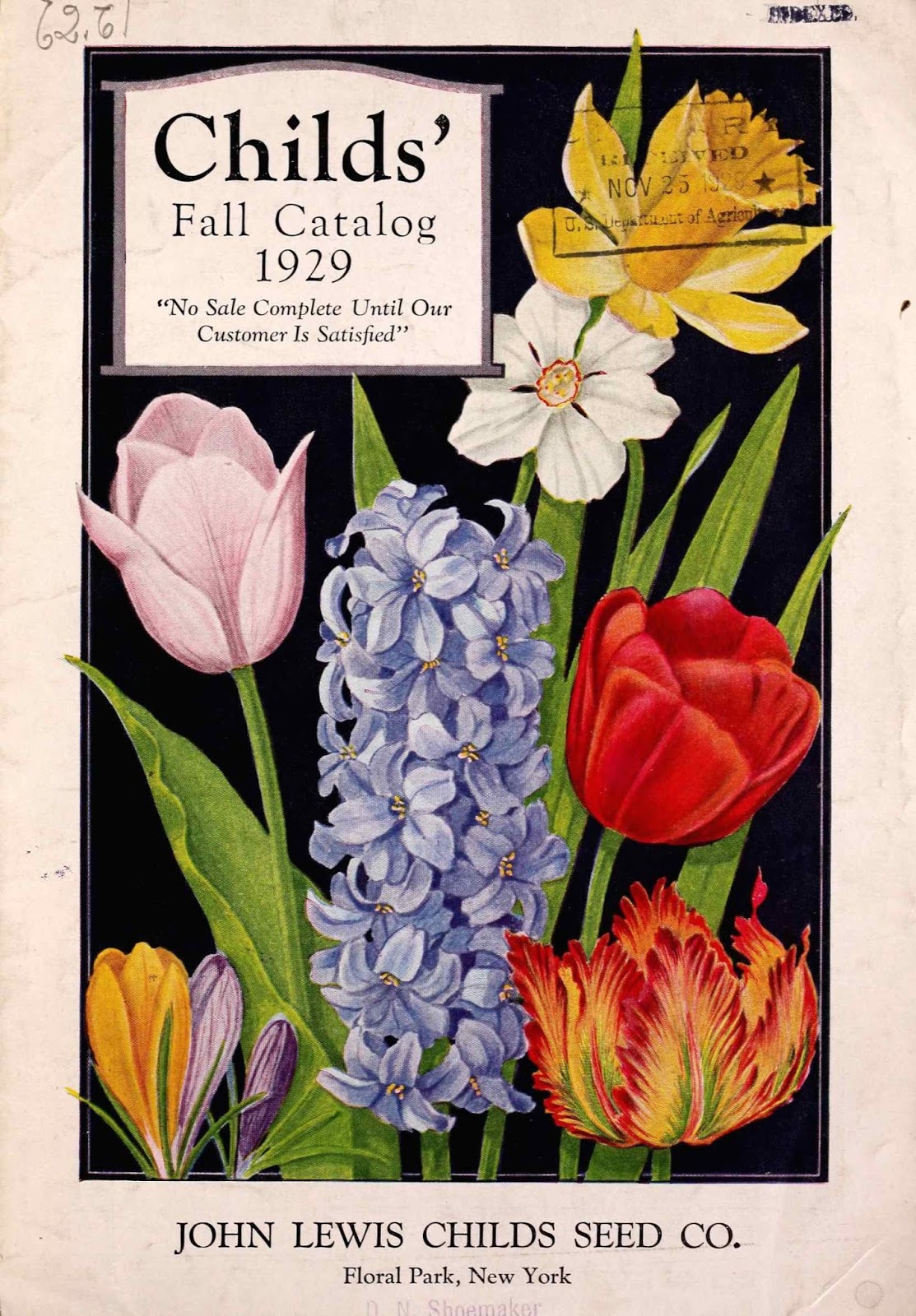 Tenth Letter of the Alphabet Lettering John Lewis Childs’ Catalogs