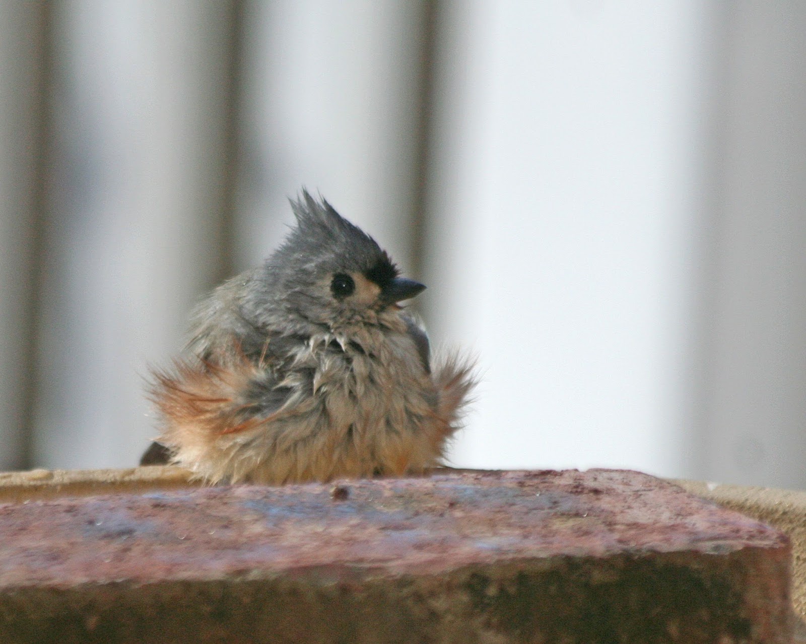 Room Without Walls The Bath