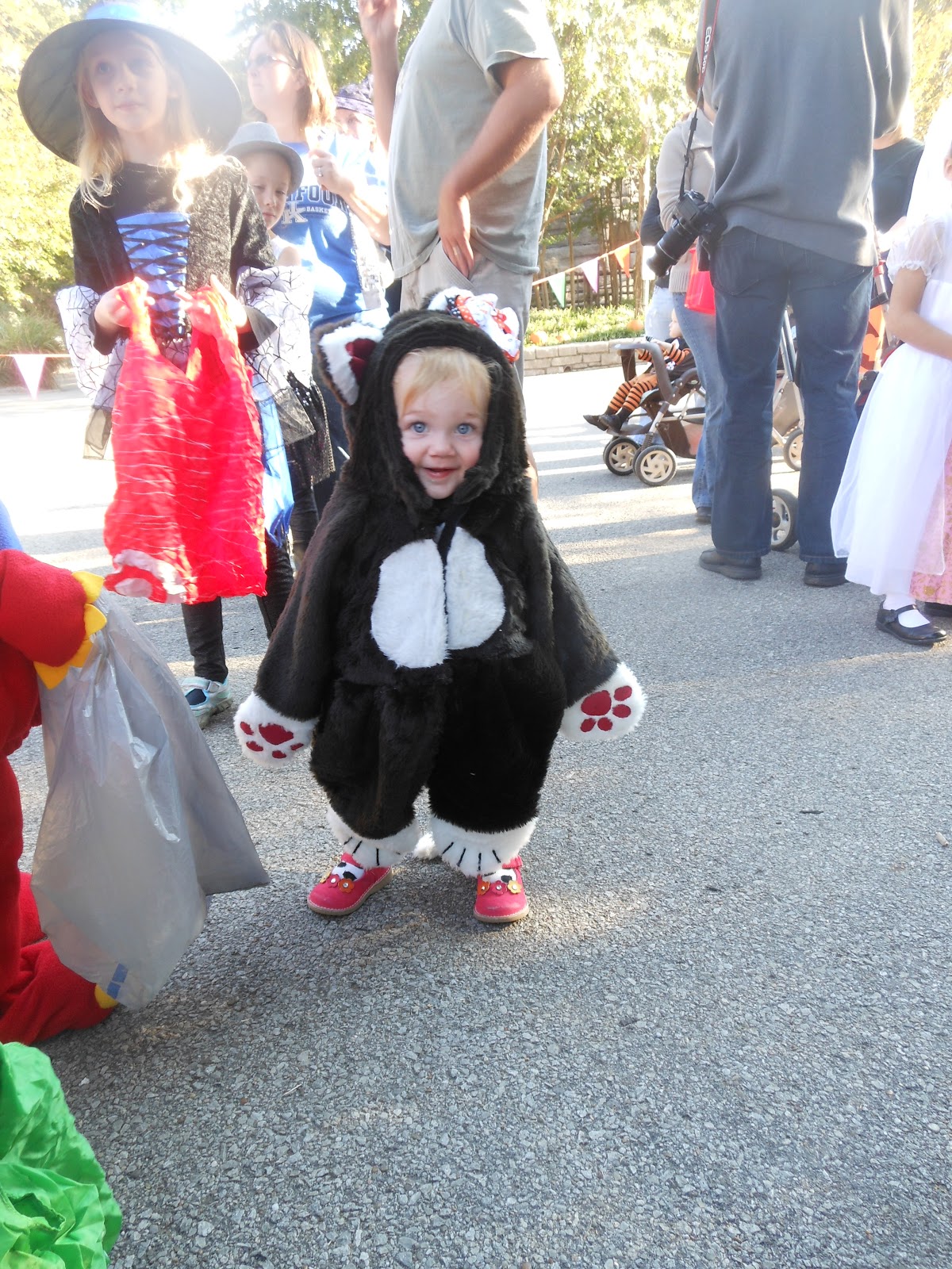 World's Largest Halloween Party!! At the Louisville Zoo