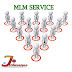 MLM Services