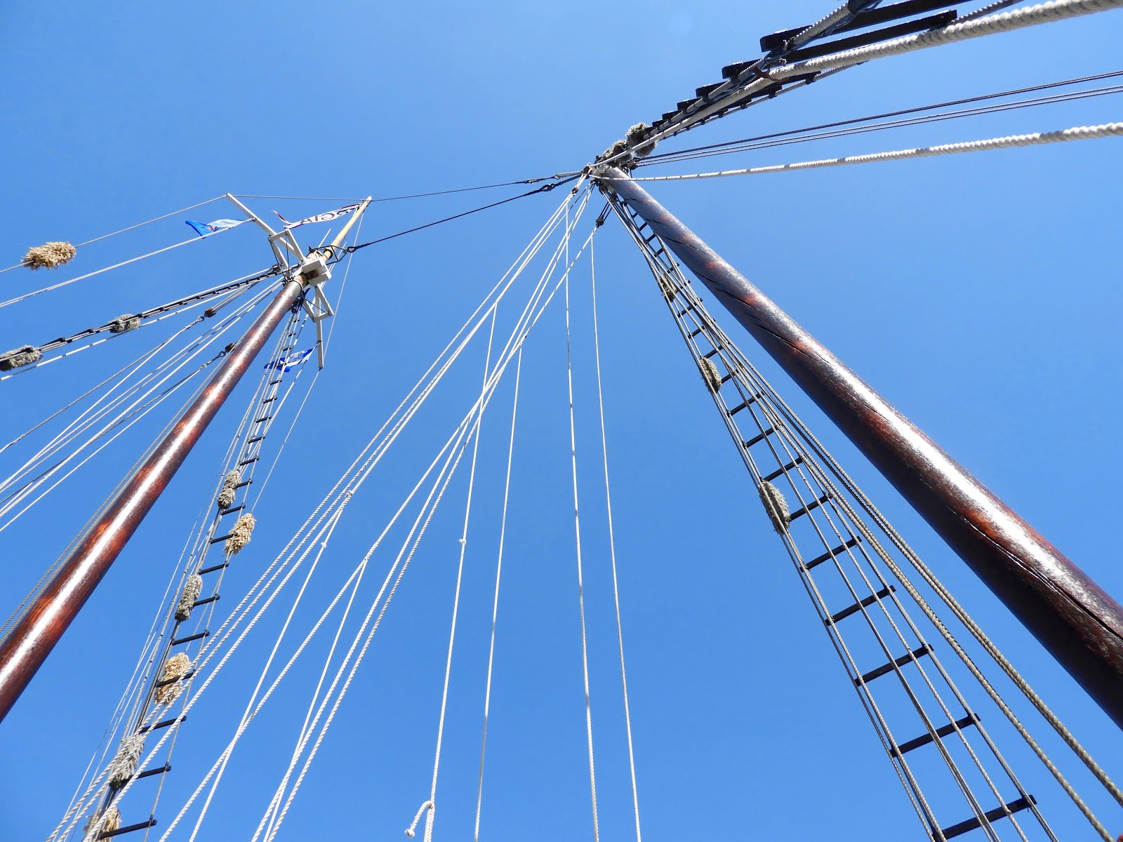 It's All About Purple Sail Away Argia