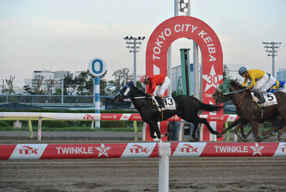 Race Cars World Traveling Car Motorcycle Nut