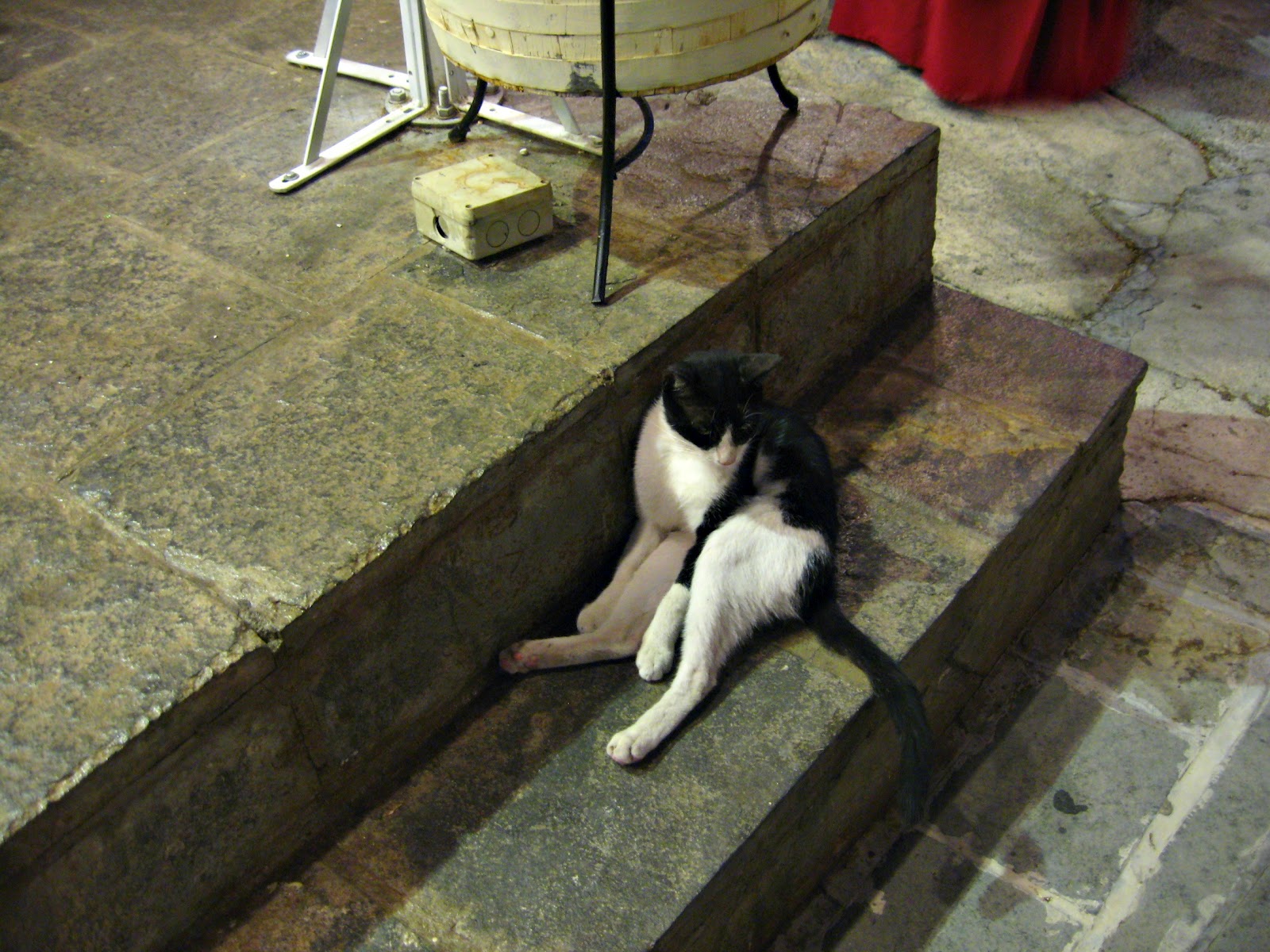 Ayse�s World Rodos Rehberi Konu3 Çok tuhaf şeyler!