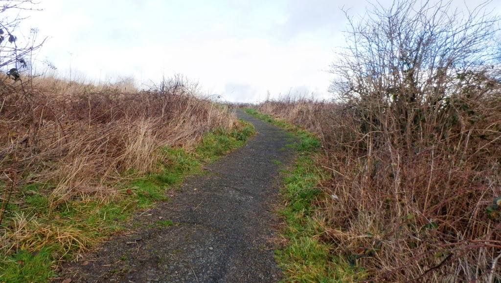 My Daily Walk Broomridge Stirling