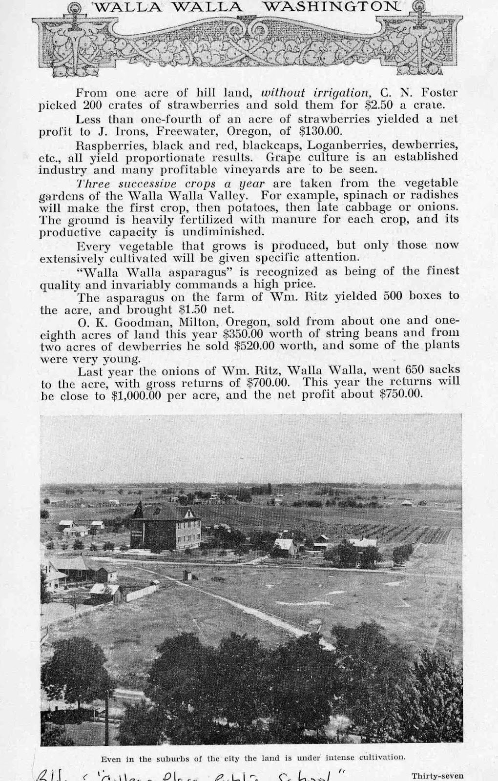 Bygone Walla Walla vintage images of the City and County (and beyond