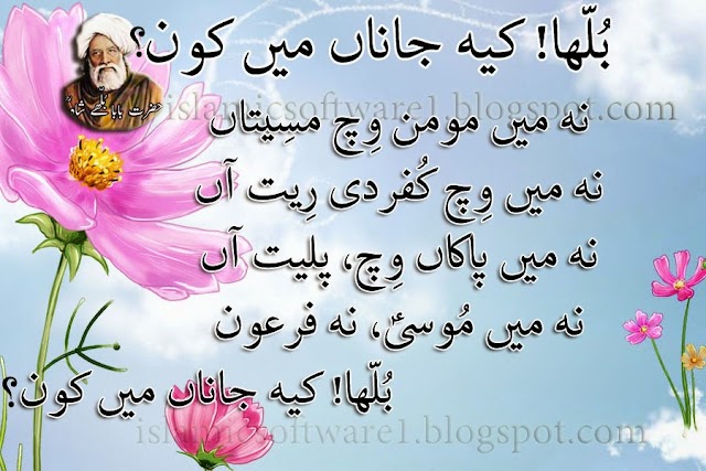 Punjabi Poetry by Bulleh Shah, Baba Bulleh Shah Kalam in Punjabi, Aqwal e zareen, Golden Words in Urdu