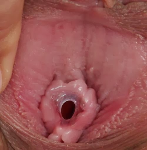 Extreme Close Up Sex - Babes wet hymen closeup - Naked photo