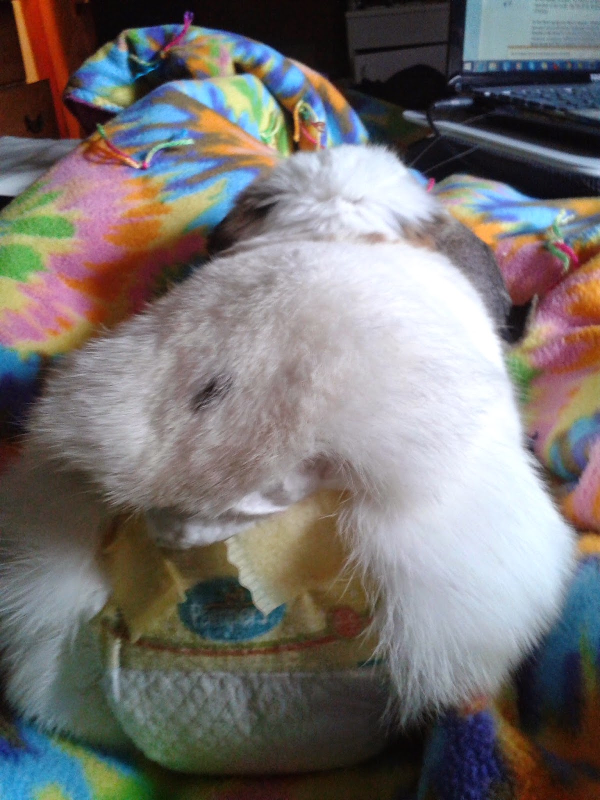 Jentle Soaps Rabbit Files Rabbit Diapers