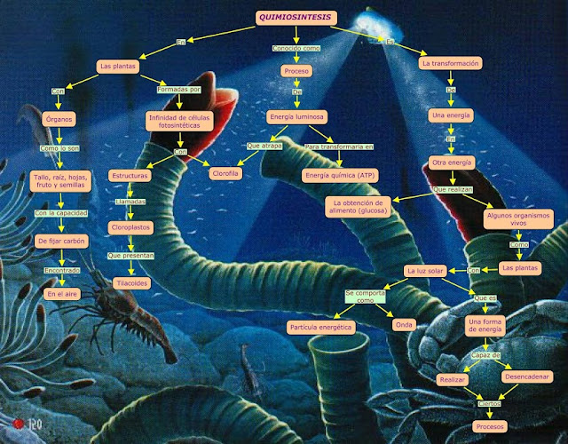 Resultado de imagen de Quimiosíntesis