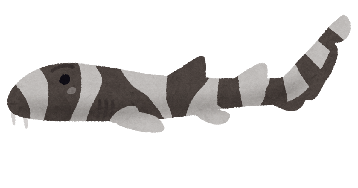 イヌザメのイラスト かわいいフリー素材集 いらすとや