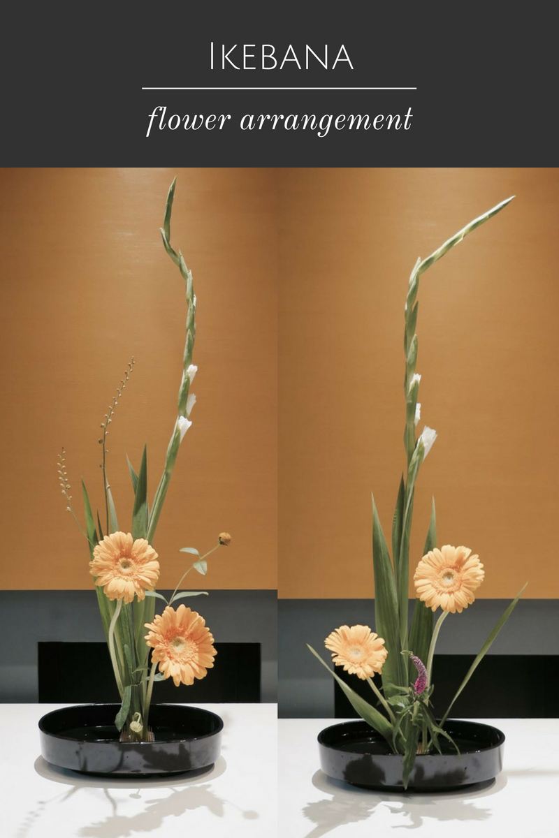 Karika Nova Ikebana How to Use the Kenzan