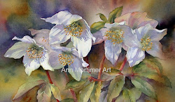 painting mortimer ann hellebores paintings watercolor again flowers paint
