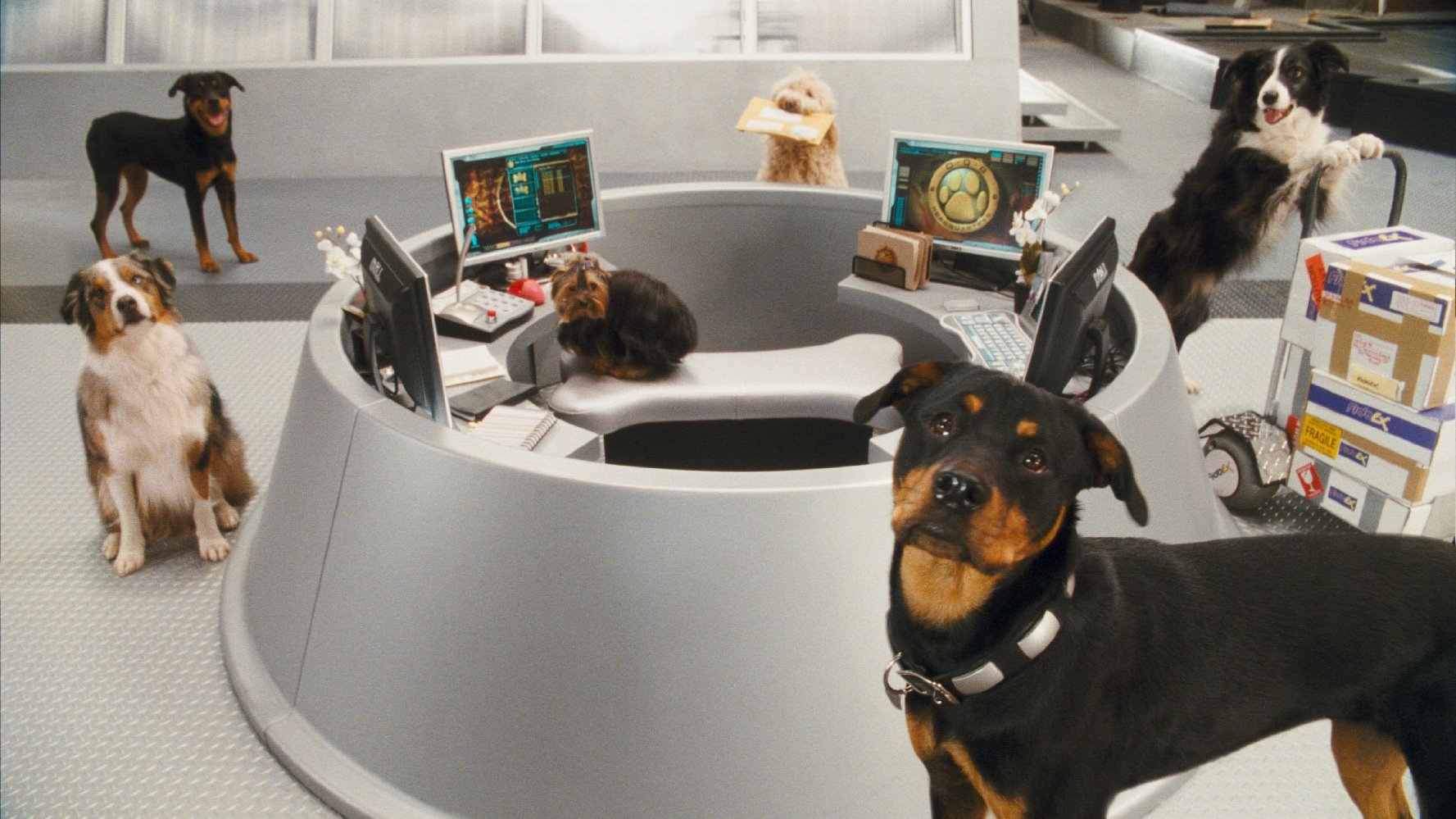 Cats And Dogs Watch Online