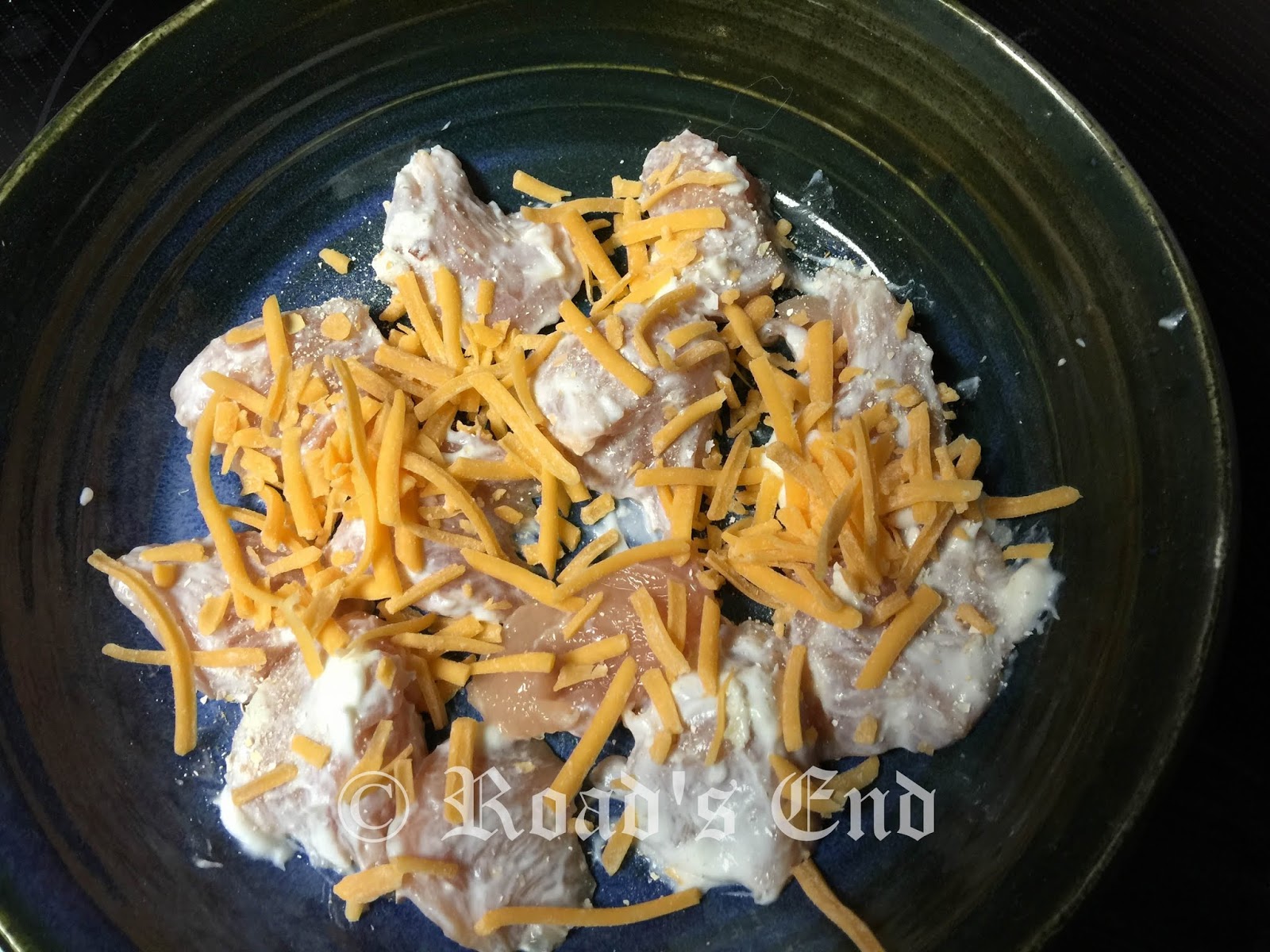 Road's End Papillons Fresh Food 101 with Dr. Karen Becker