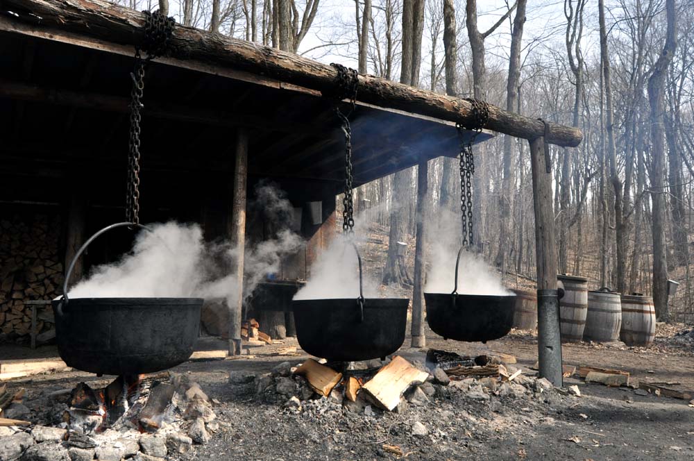 Toronto Grand Prix Tourist A Toronto Blog Sugarbush Maple Syrup
