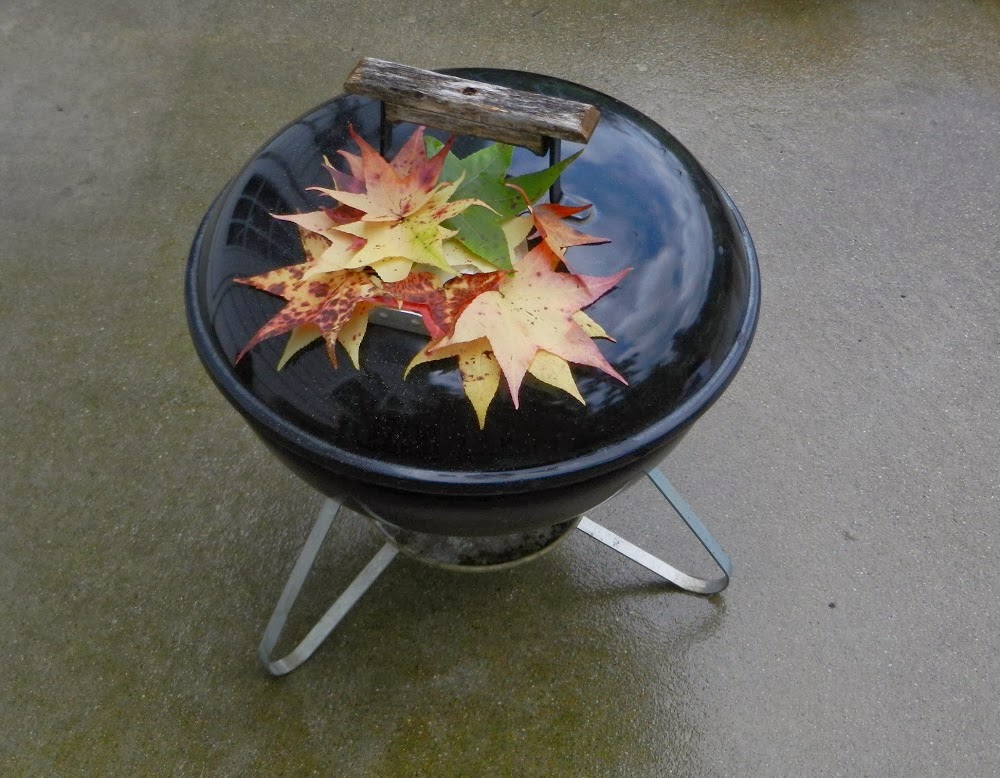 Sizzling Indian Recipes..... er Charcoal Grill, winter time images