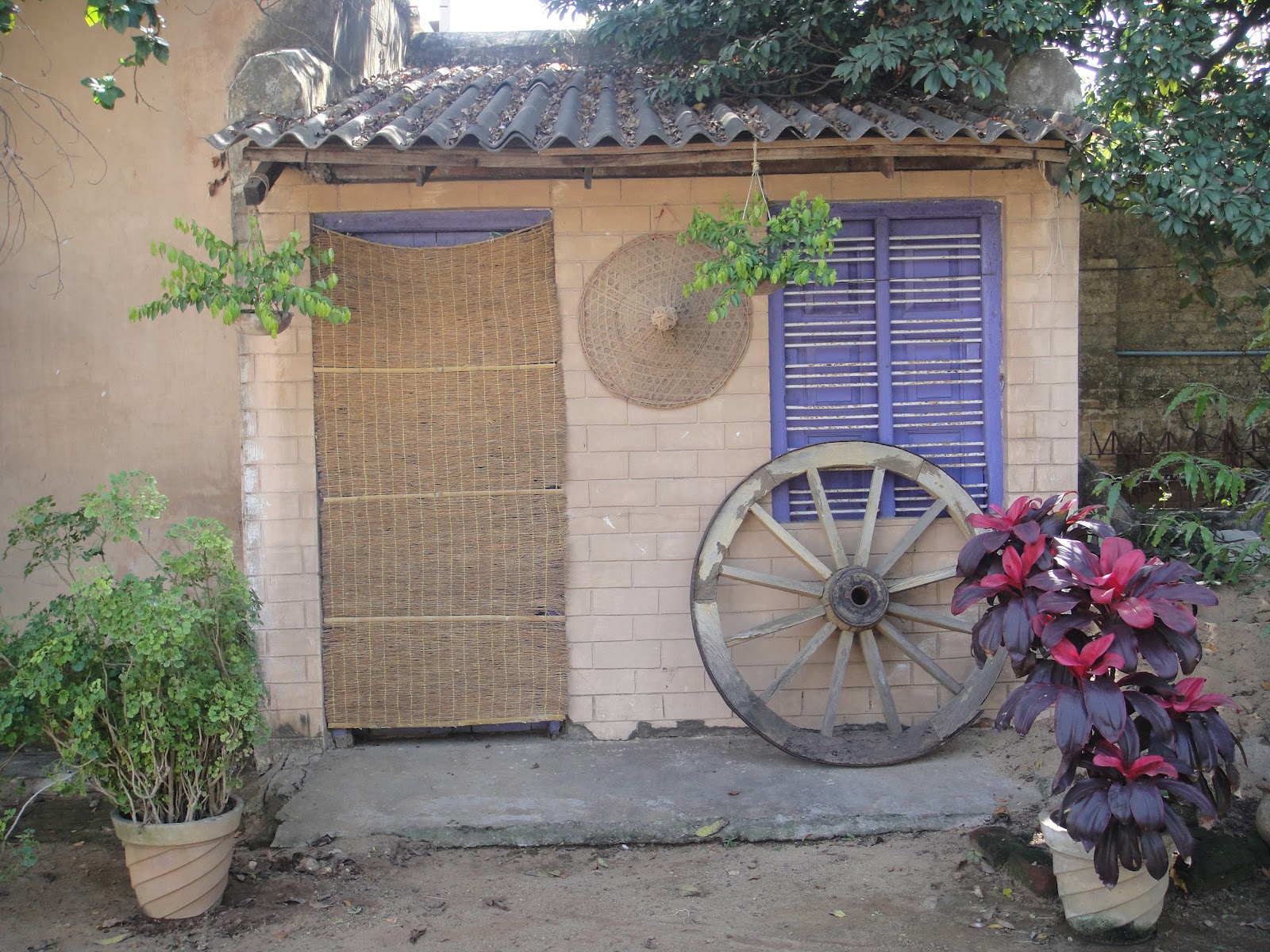 Khus khus [ବେଣା ଚେର] The Barpali Days