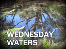 WEDNESDAY WATERS