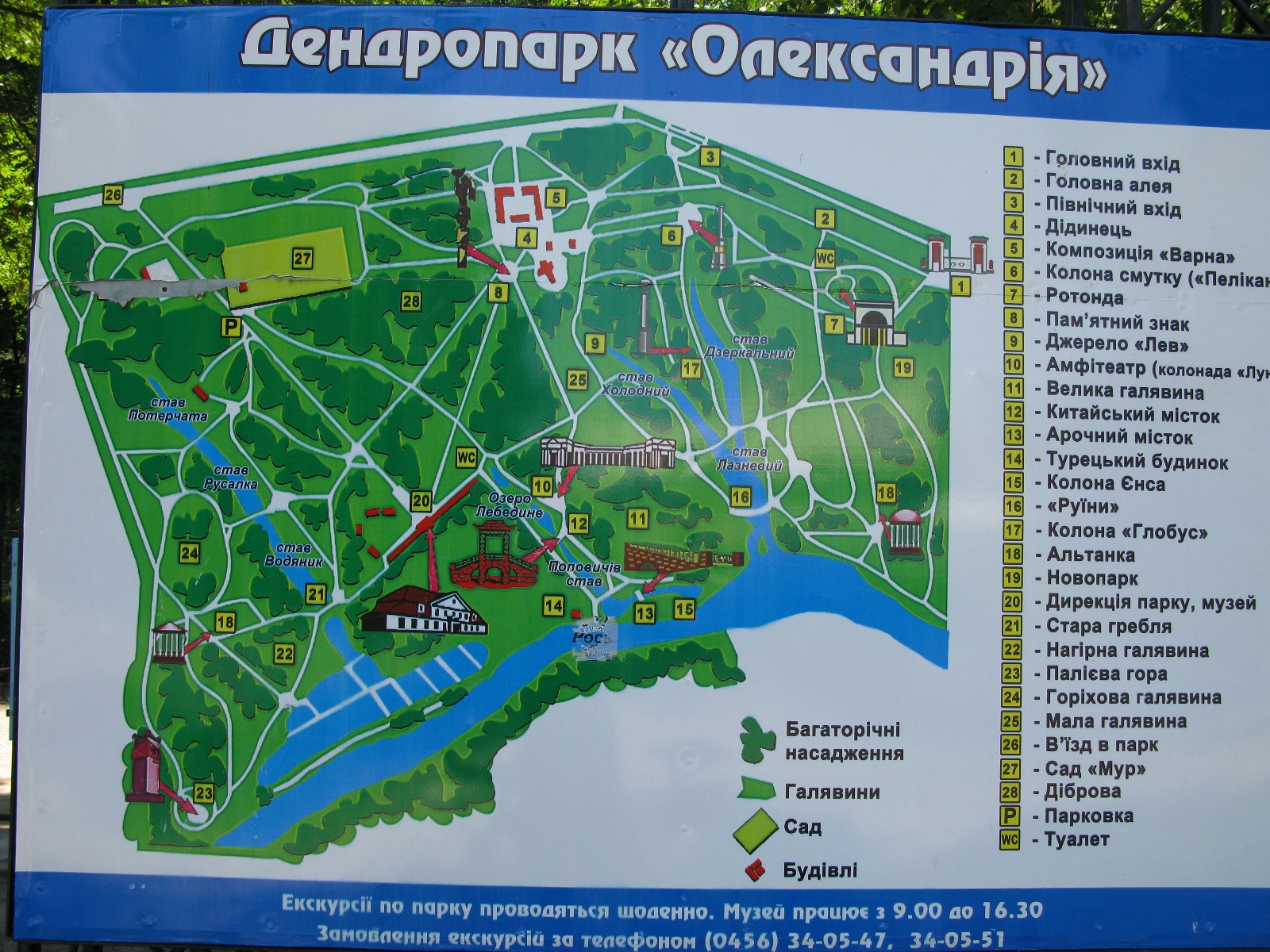 Дендрарий схема. Парк Александрия план-схема. План парка Александрия. Парк Александрия схема. Парк Александрия карта.