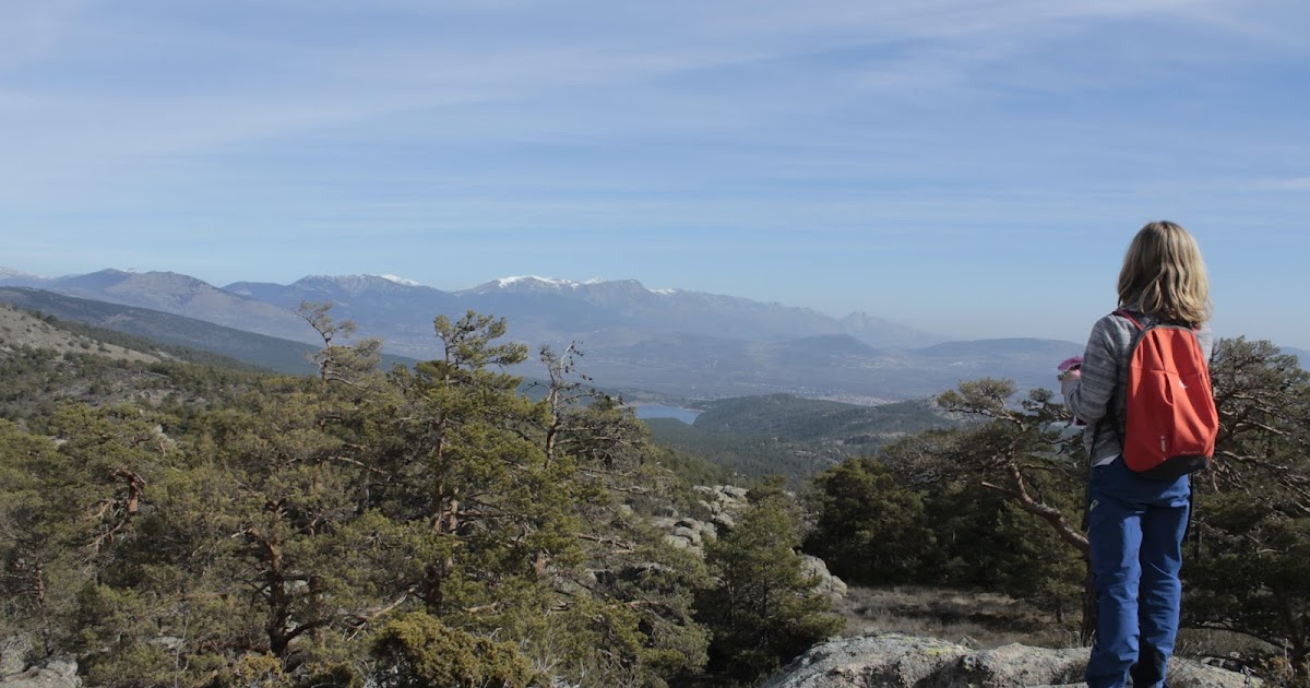 Ruta por los pinares Llanos de Peguerinos (Peguerinos Ávila