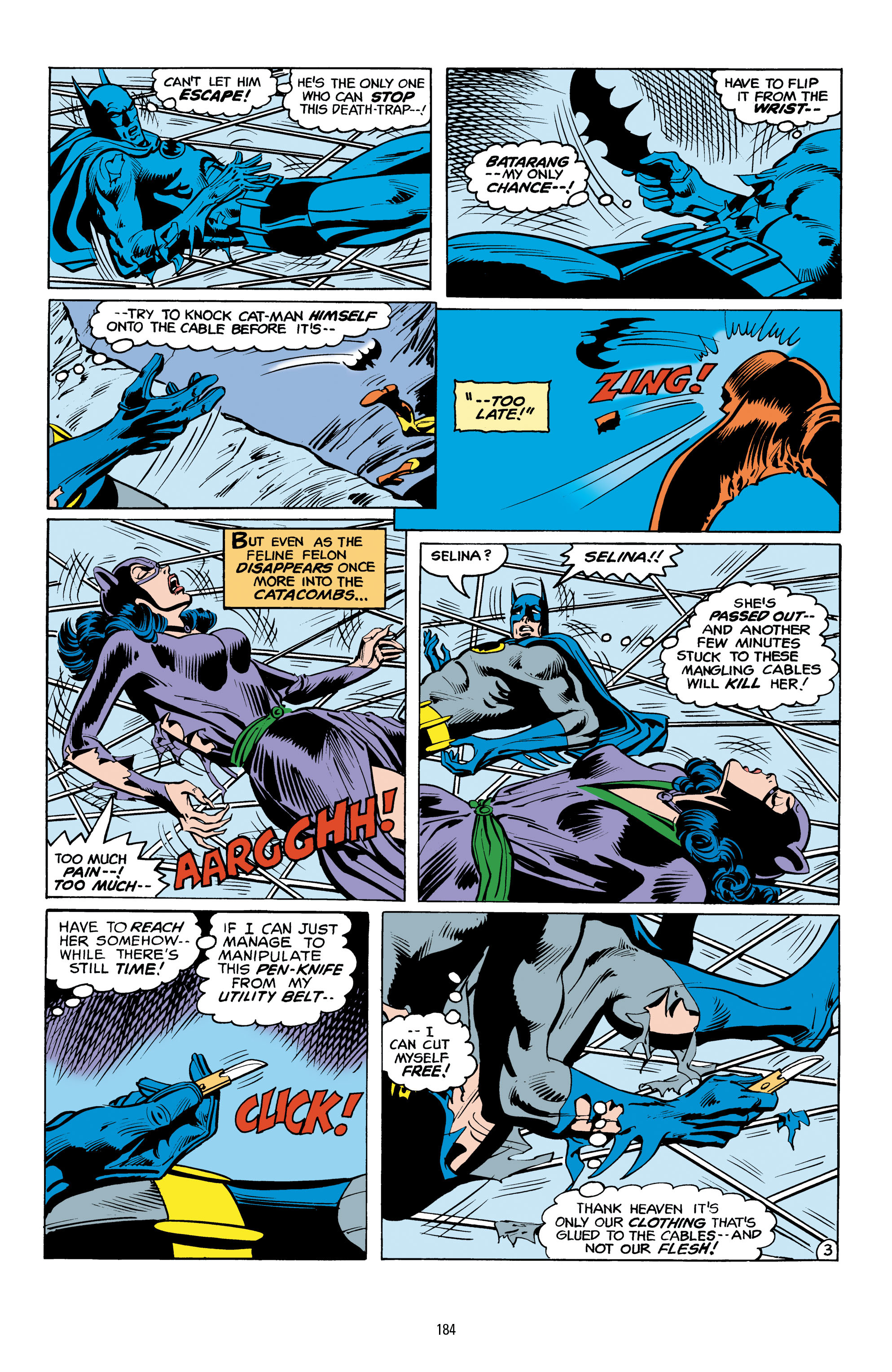 Read online Catwoman: A Celebration of 75 Years comic -  Issue # TPB (Part 2) - 85