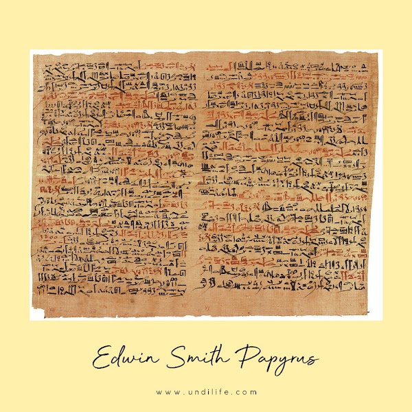edwin smith papyrus imhotep edwin smith papyrus imhotep