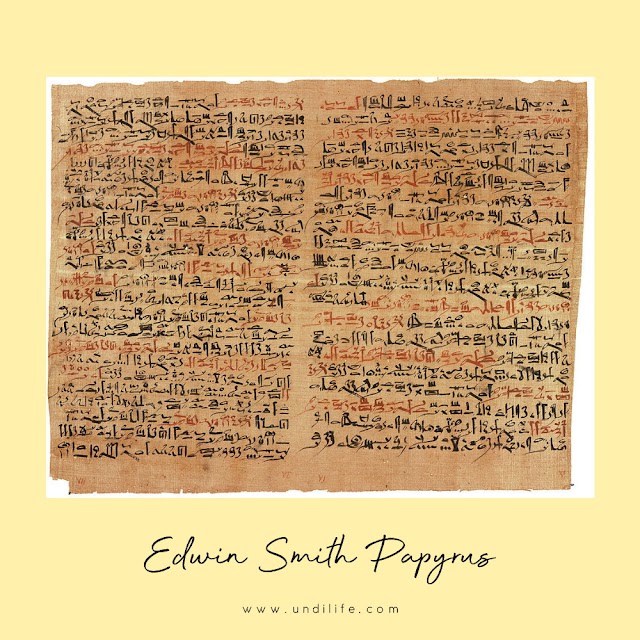 Edwin Smith Papyrus: Buku Bedah berusia 3.600 Tahun 📖