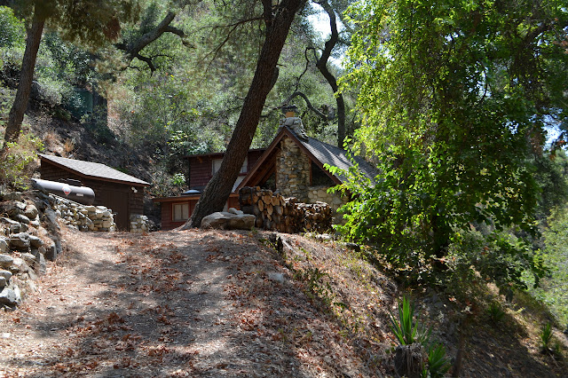 cabin in the canyon