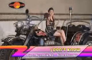 Lirik Lagu I Don't Know - Nella Kharisma