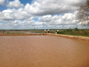 FIELD VISIT BY EXPERTS