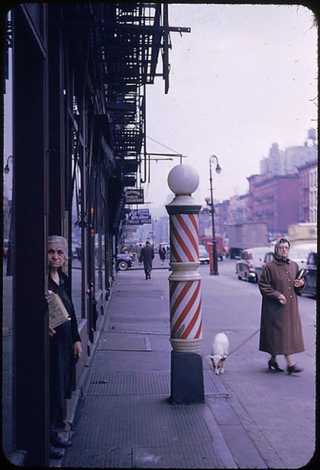 walker evans new york