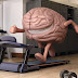 Así es como el ejercicio afecta a tu cerebro