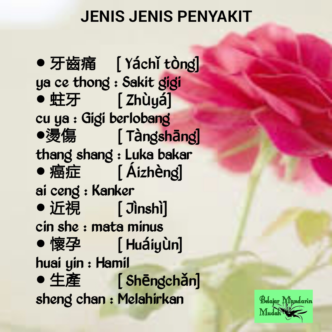 Jenis Jenis Penyakit - BELAJAR MANDARIN